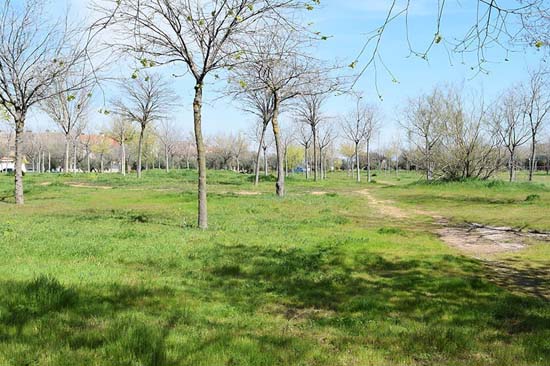 parque