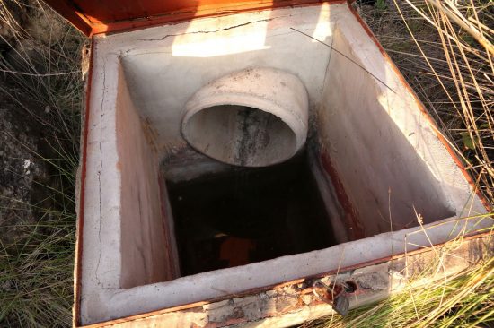2016. 29 julio. Fuente del Piojo. Nacimiento