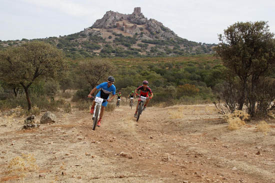 ciclis