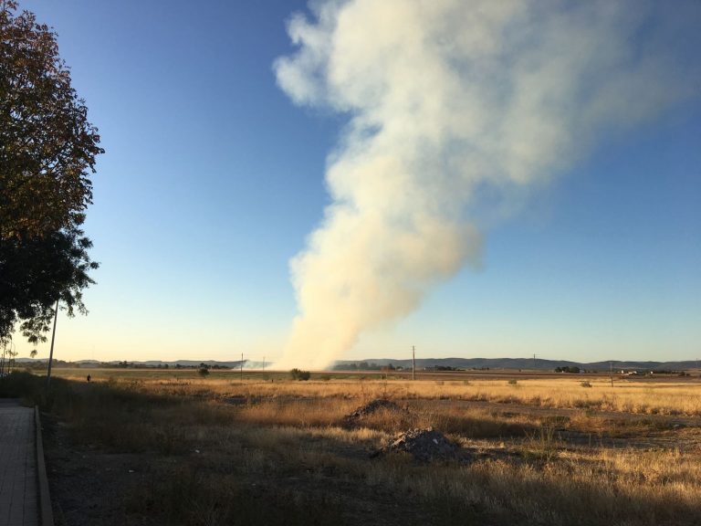 Prohibida desde este viernes la quema de restos vegetales y trabajos con riesgo de incendio en superficies forestales