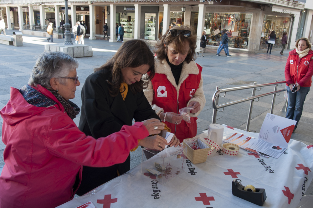 Cruz Roja Ciudad Real dedica el Día de la Banderita a la infancia ...