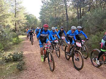 ciclo