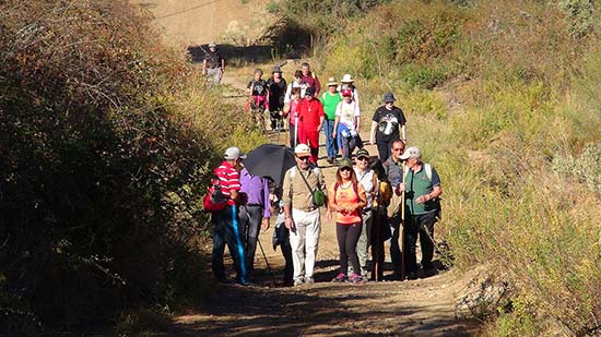 ruta1