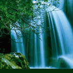 300-x-600-GENERICO-CAL