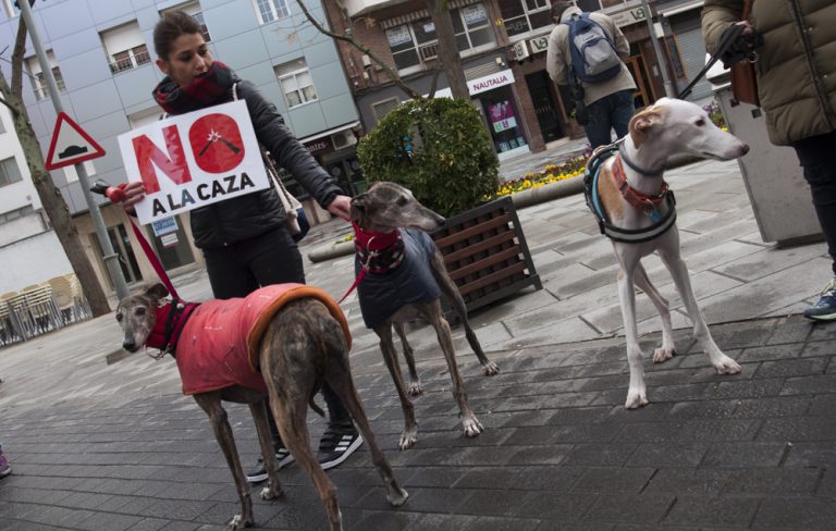 La Ley de Bienestar Animal de C-LM no será de aplicación a los animales que participen en actividades cinegéticas
