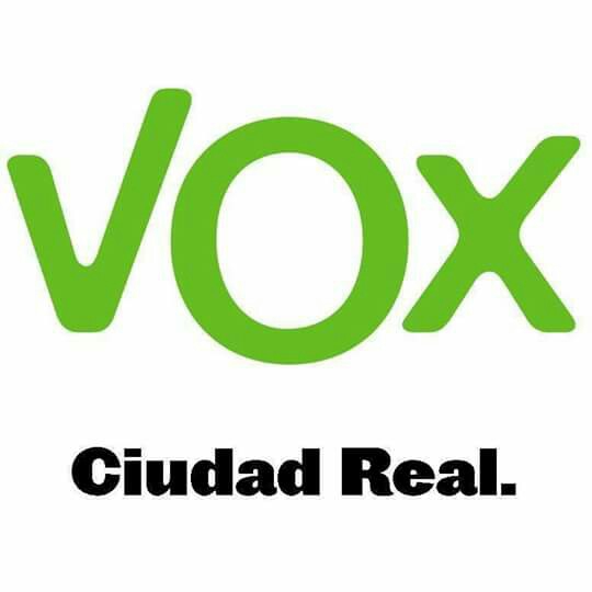 vox ciudad real