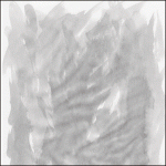 banner-300×300-px_herencia