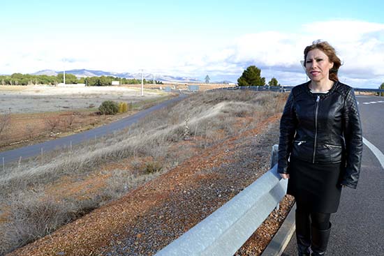 villarta alcaldesa terreno y al fondo autovia 1