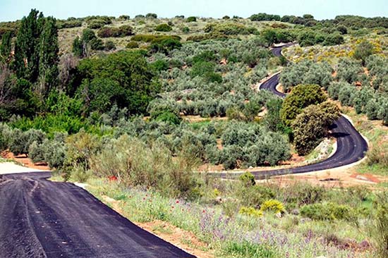 CASTILLEJO DEL BONETE_Yacimiento visitable1