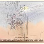 corazon-de-paloma