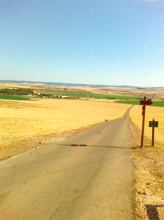 Vista del Campo de Batalla desde el cerro de Alarcos donde estaría la caballería cristiana, en julio