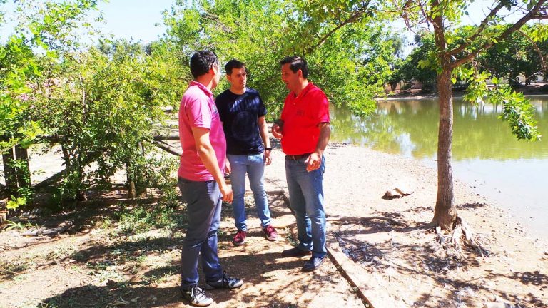 El Ayuntamiento anuncia que se incrementará el control de roedores tanto en las Pocitas como en las calles adyacentes