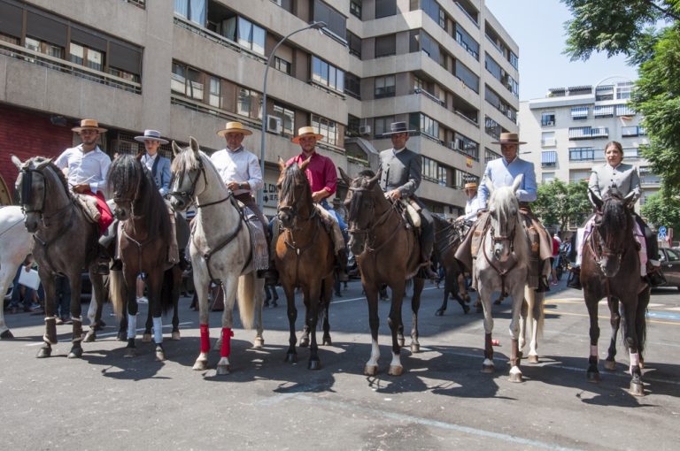 Engalanados para lucir por las calles de Ciudad Real