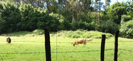 postales de verano