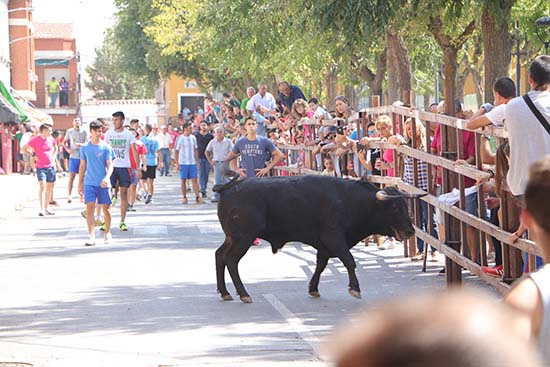 encierro1