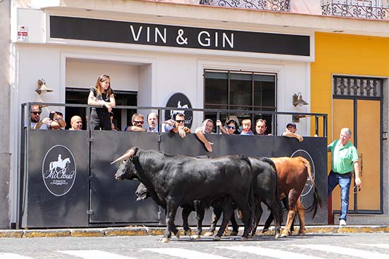 Almodóvar del Campo: Ginés Marín sustituirá el domingo a Cayetano, completando la terna de la corrida de feria