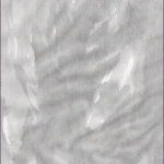 banner-300×600-px