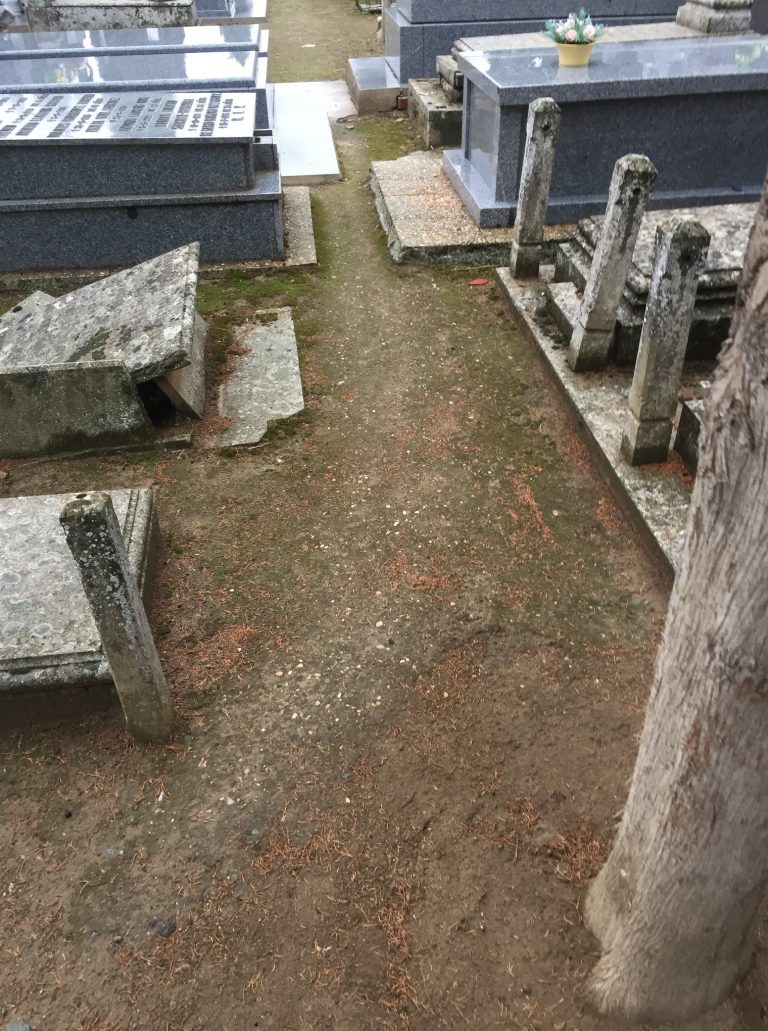 Ciudad Real: El PP denuncia el mal estado de los paseos del Cementerio