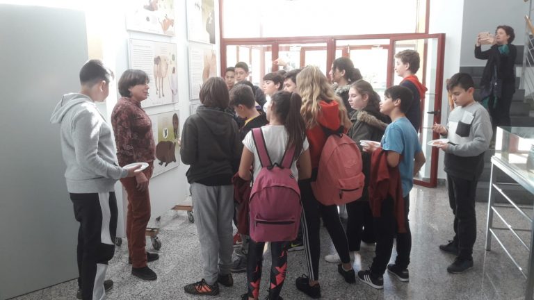 Ciudad Real: El papel del científico y las líneas de investigación del IREC, en una exposición