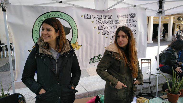 Galeca Miguelturra, cuatro años de amor por los animales