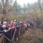 ruta del abedular de rio frio 1