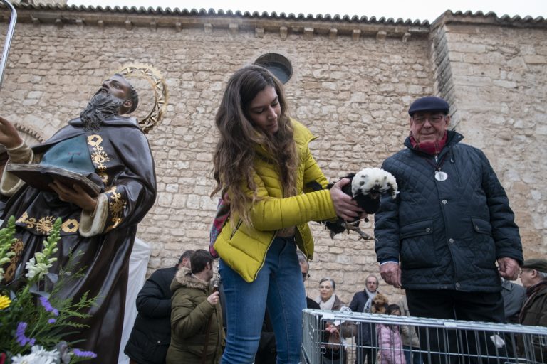 Las gallinas moñudas holandesas se llevan la estatuilla de San Antón