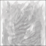 banner-300×300-px