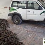 agentes medioambientales