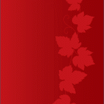 banner-300×600-px