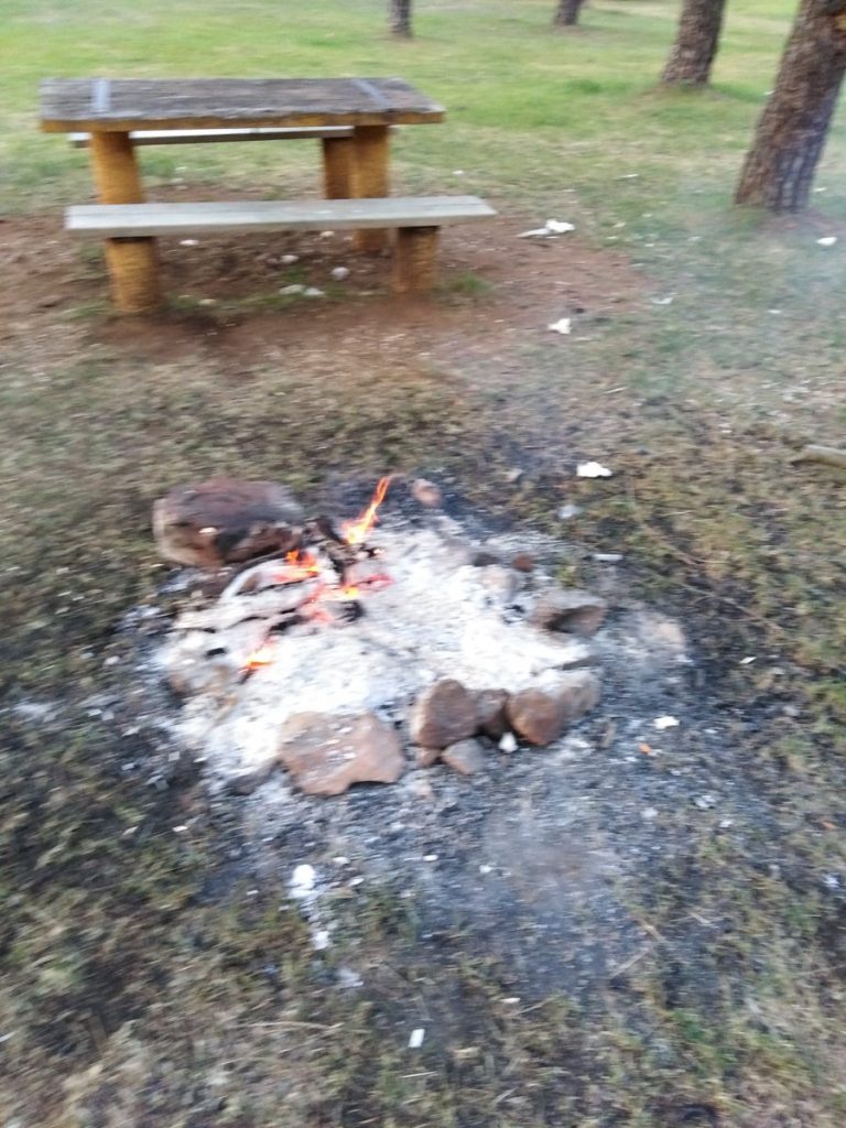 Puertollano: Denunciadas varias personas por hacer fogatas en los Pinos