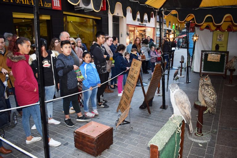Puertollano: Recreaciones, puestos artesanos y cetrería en el Mercado de la Independencia