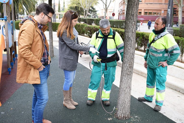 Puertollano: La endoterapia frenará las plagas de quinientos olmos urbanos