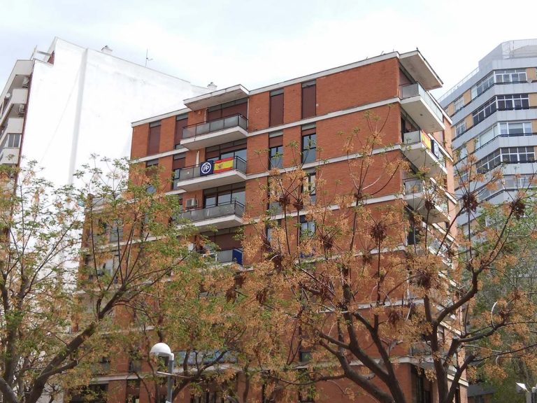 Siguen muriendo aves en las redes de Plaza de Cervantes de Ciudad Real