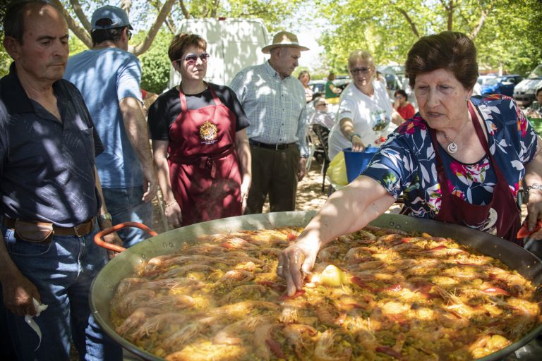 Ciudad Real celebra su fiesta en honor a San Isidro