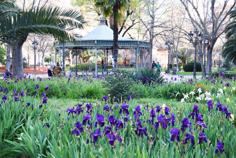Puertollano: El Aula Abierta de Iberdrola creará una ruta botánica en el Paseo de San Gregorio