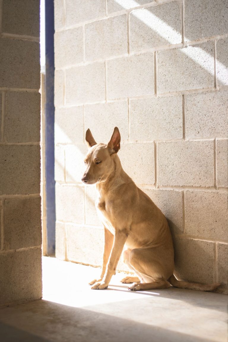 Una década sensaciones entre las paredes de La Bienvenida condensadas en algo más de noventa fotografías