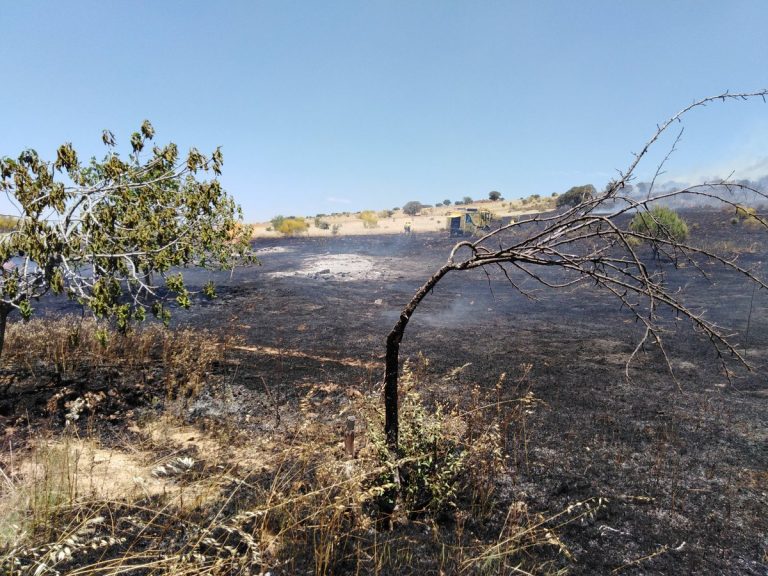 Extinguido el incendio en las inmediaciones de la Dehesa Boyal de Puertollano