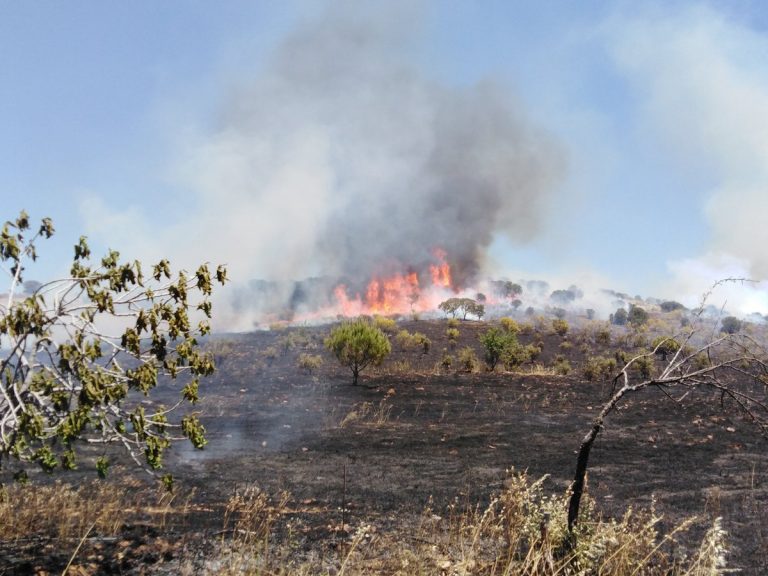Un detenido como presunto autor por imprudencia del fuego cerca de la Dehesa Boyal de Puertollano, que sigue activo