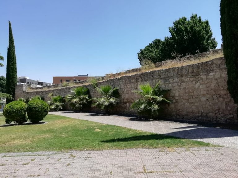 Maleza en la muralla de Ciudad Real