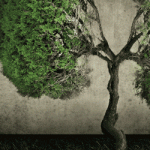 prevencionincendios300x250