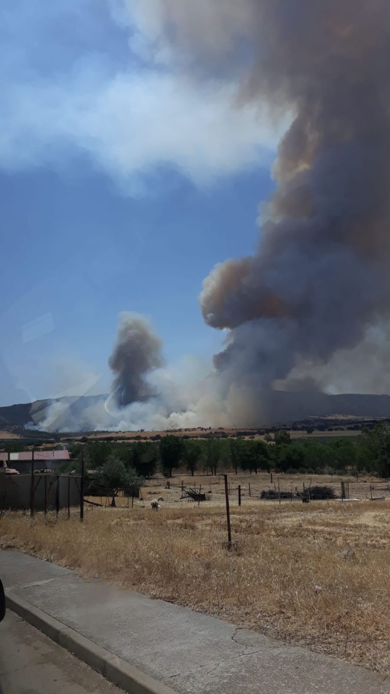 Un centenar de personas combaten un incendio forestal declarado en El Villar de Puertollano