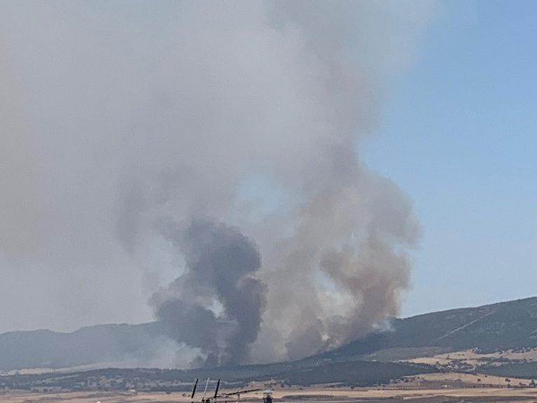 Partido Ibérico Íber agradece la intervención «incisiva y contundente» del dispositivo contra el incendio en Puertollano