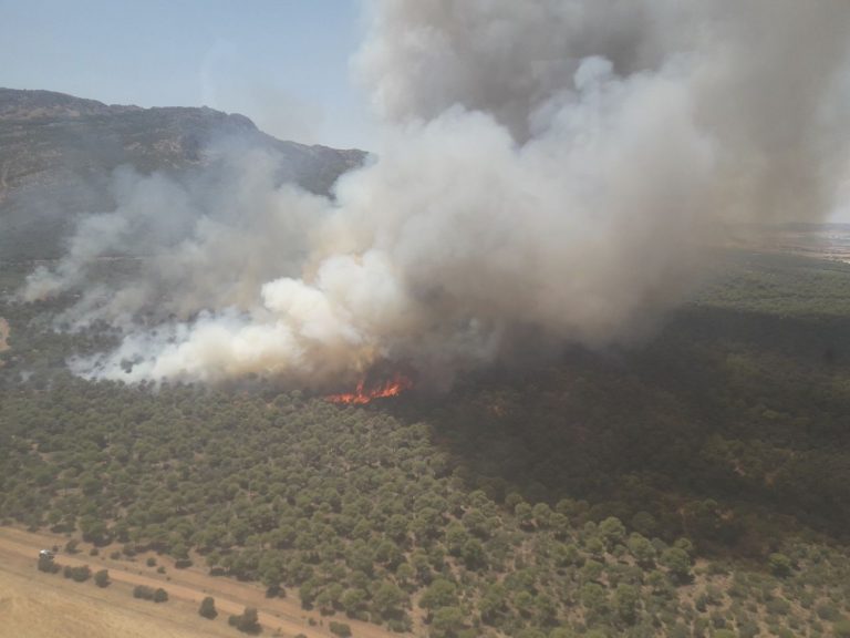 Activado el nivel 1 de emergencia en el incendio que afecta a El Villar y la Dehesa Boyal de Puertollano