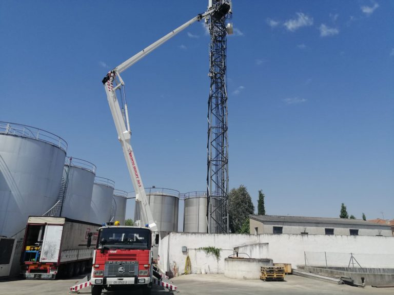 Herencia: Rescate de un pollo de cigüeña a más de 30 metros de altura