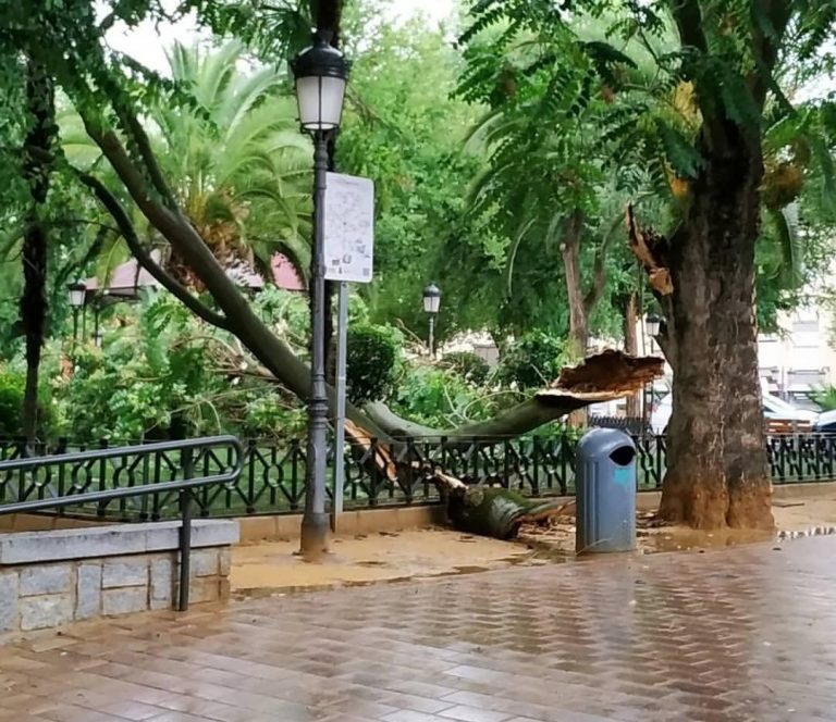Impresionante tormenta en Ciudad Real