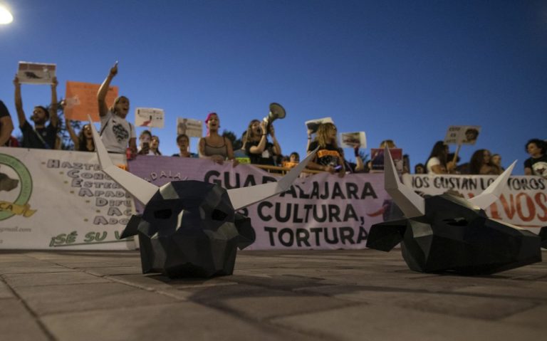 Colectivos reclaman a la Junta que replantee prioridades y no subvencione las tasas de festejos taurinos