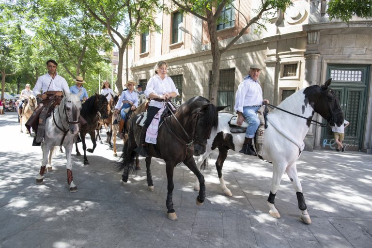 Ciudad Real: La concentración ecuestre se traslada al Parque de Gasset