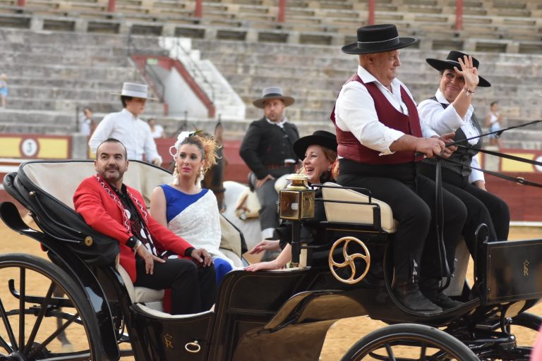 Ciudad Real: Flamenco y exhibición ecuestre a beneficio de APAFES