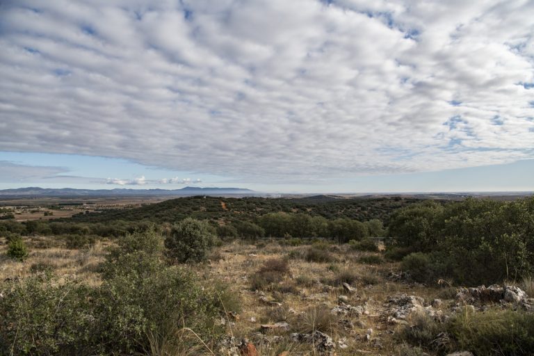 Para el PP no es sostenible «gastarse 700.000 euros en ampliar La Atalaya y no garantizar su acceso en condiciones de seguridad»
