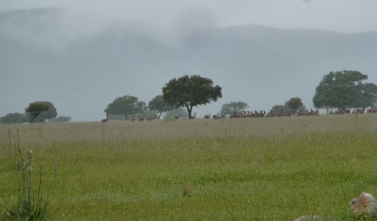 Las trabajadoras de la Limpieza del Parque Nacional de Cabañeros se declaran en huelga indefinida ante los impagos